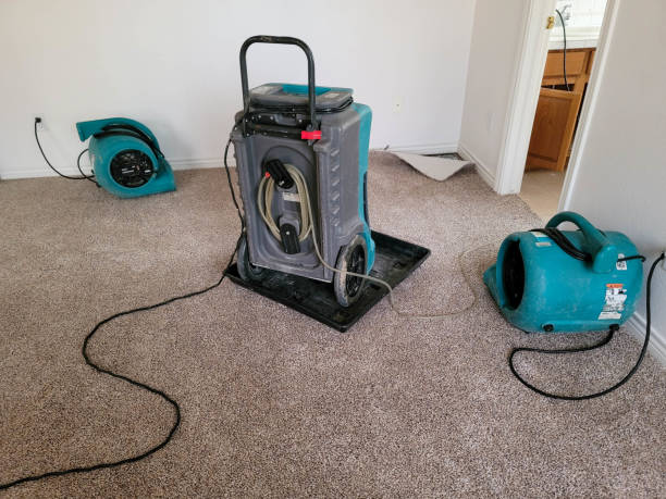 Best Water damage cleanup near me  in North Ballston Spa, NY