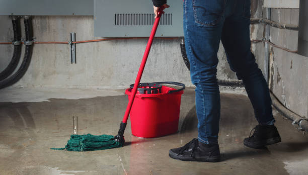 Best Flood damage cleanup  in North Ballston Spa, NY
