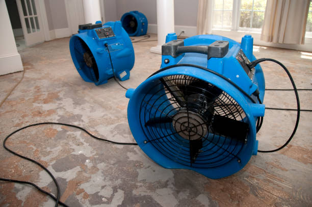 Best Basement water damage restoration  in North Ballston Spa, NY